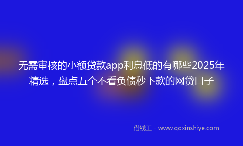 无需审核的小额贷款app利息低的有哪些2025年精选，盘点五个不看负债秒下款的网贷口子