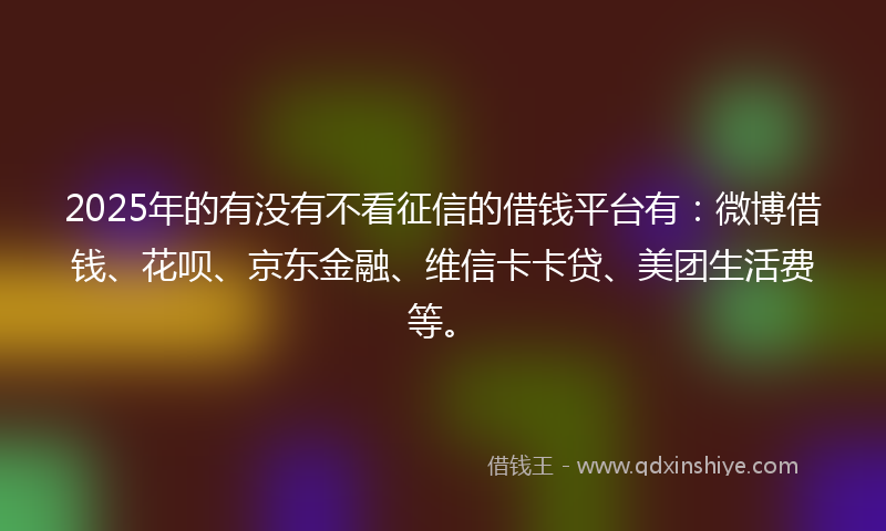 2025年的有没有不看征信的借钱平台有：微博借钱、花呗、京东金融、维信卡卡贷、美团生活费等。