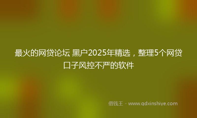 最火的网贷论坛 黑户2025年精选，整理5个网贷口子风控不严的软件