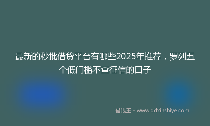 最新的秒批借贷平台有哪些2025年推荐，罗列五个低门槛不查征信的口子