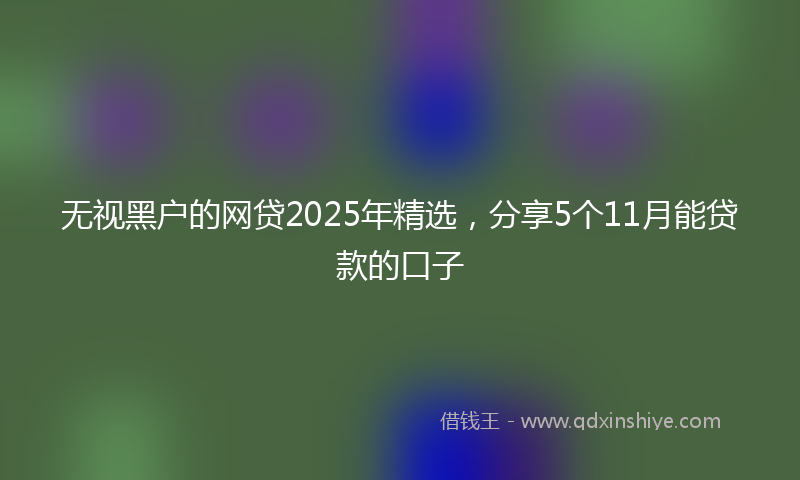 无视黑户的网贷2025年精选，分享5个11月能贷款的口子