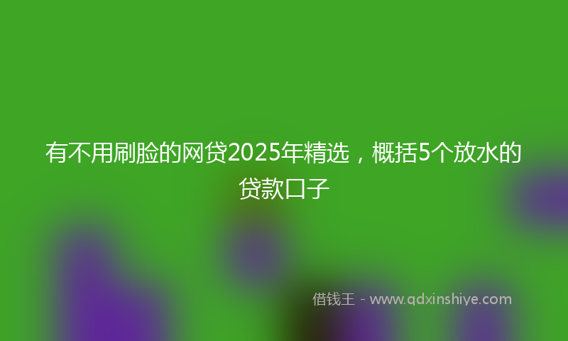 有不用刷脸的网贷2025年精选，概括5个放水的贷款口子