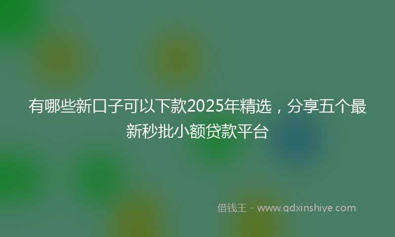 有哪些新口子可以下款2025年精选，分享五个最新秒批小额贷款平台