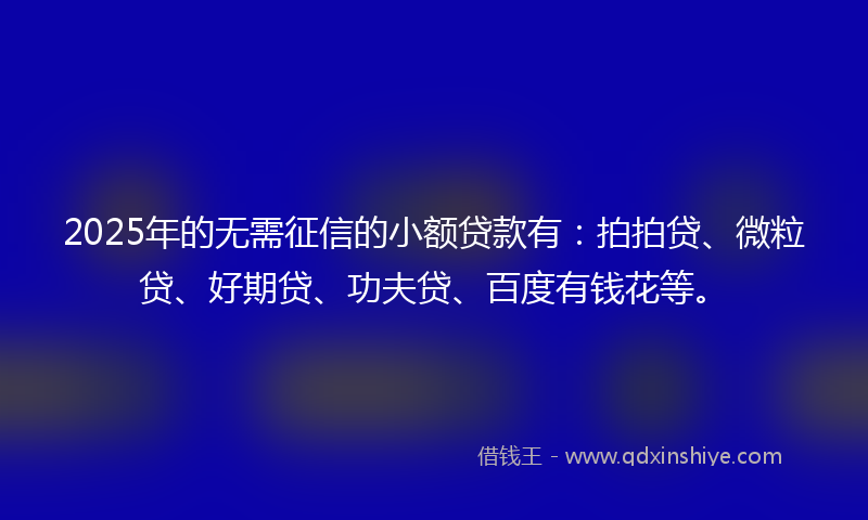 2025年的无需征信的小额贷款有：拍拍贷、微粒贷、好期贷、功夫贷、百度有钱花等。