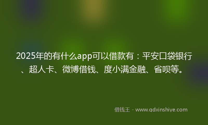 2025年的有什么app可以借款有：平安口袋银行、超人卡、微博借钱、度小满金融、省呗等。