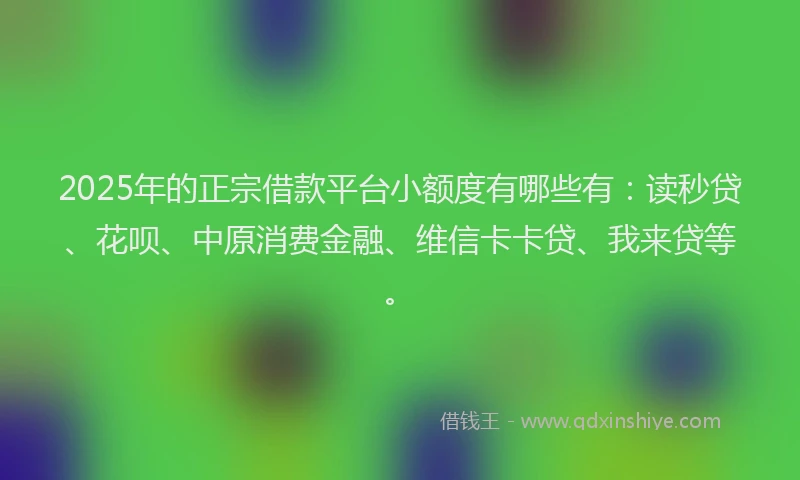2025年的正宗借款平台小额度有哪些有：读秒贷、花呗、中原消费金融、维信卡卡贷、我来贷等。