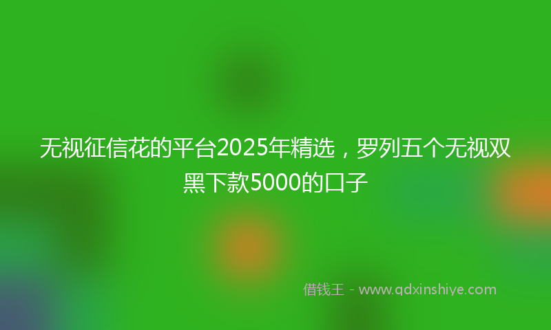无视征信花的平台2025年精选，罗列五个无视双黑下款5000的口子