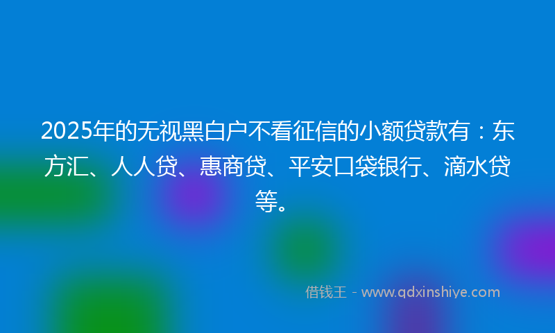 2025年的无视黑白户不看征信的小额贷款有：东方汇、人人贷、惠商贷、平安口袋银行、滴水贷等。