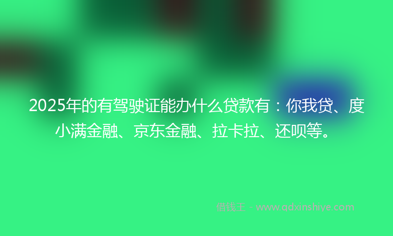 2025年的有驾驶证能办什么贷款有：你我贷、度小满金融、京东金融、拉卡拉、还呗等。