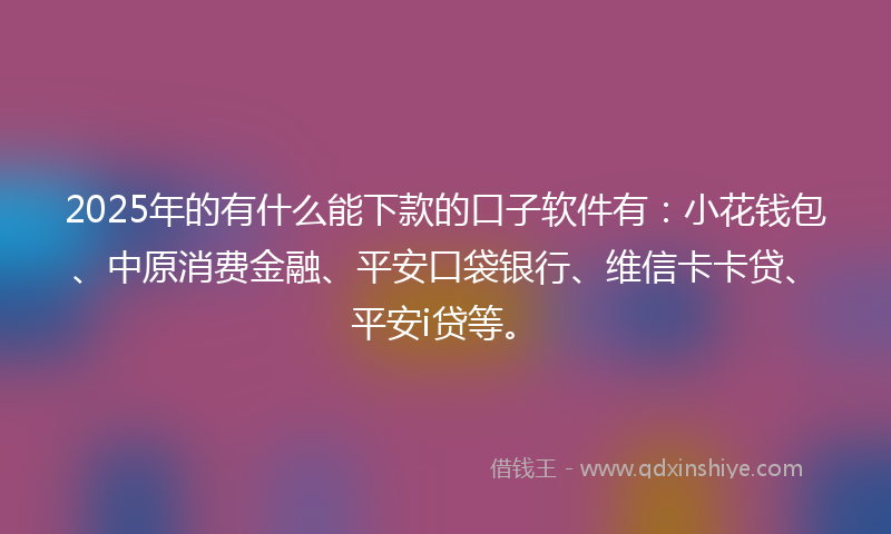 2025年的有什么能下款的口子软件有：小花钱包、中原消费金融、平安口袋银行、维信卡卡贷、平安i贷等。