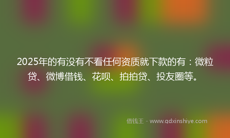 2025年的有没有不看任何资质就下款的有：微粒贷、微博借钱、花呗、拍拍贷、投友圈等。