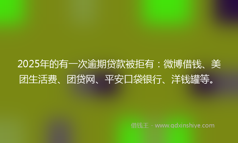2025年的有一次逾期贷款被拒有：微博借钱、美团生活费、团贷网、平安口袋银行、洋钱罐等。