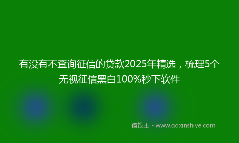 有没有不查询征信的贷款2025年精选，梳理5个无视征信黑白100%秒下软件