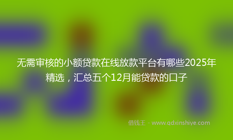 无需审核的小额贷款在线放款平台有哪些2025年精选，汇总五个12月能贷款的口子