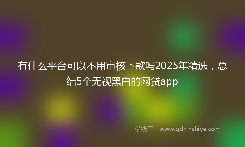 有什么平台可以不用审核下款吗2025年精选，总结5个无视黑白的网贷app