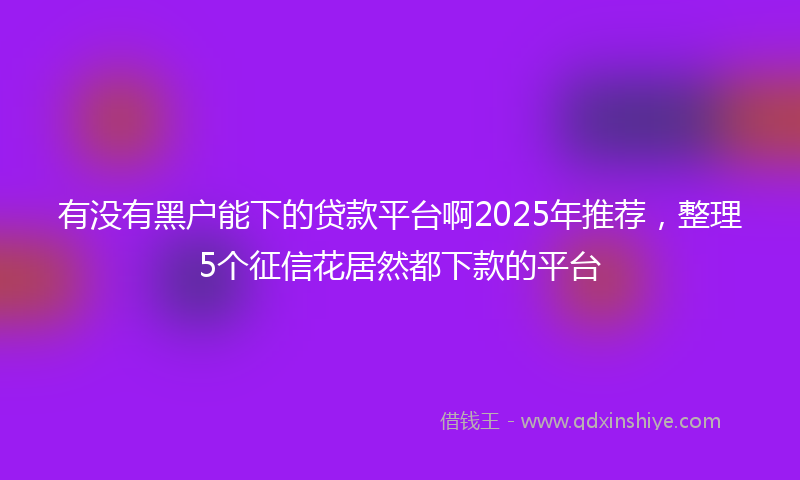 有没有黑户能下的贷款平台啊2025年推荐，整理5个征信花居然都下款的平台
