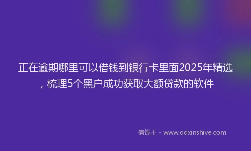 正在逾期哪里可以借钱到银行卡里面2025年精选，梳理5个黑户成功获取大额贷款的软件