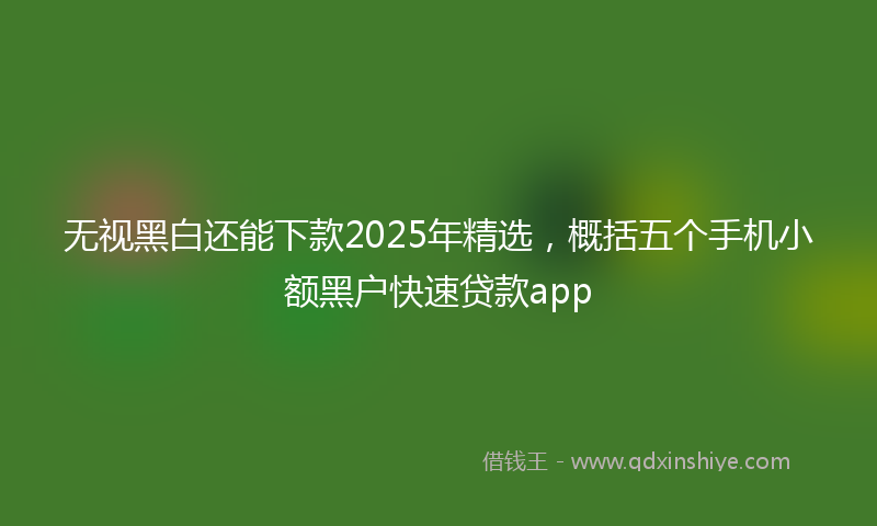 无视黑白还能下款2025年精选，概括五个手机小额黑户快速贷款app