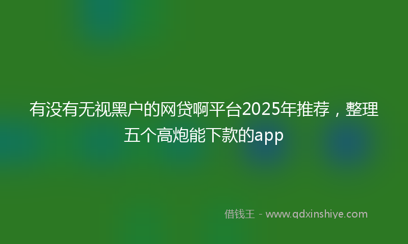 有没有无视黑户的网贷啊平台2025年推荐，整理五个高炮能下款的app