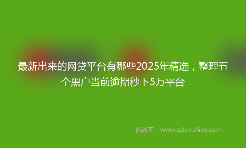 最新出来的网贷平台有哪些2025年精选，整理五个黑户当前逾期秒下5万平台