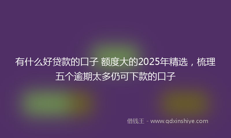 有什么好贷款的口子 额度大的2025年精选，梳理五个逾期太多仍可下款的口子