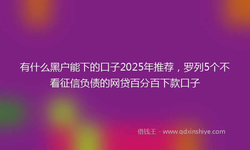 有什么黑户能下的口子2025年推荐，罗列5个不看征信负债的网贷百分百下款口子