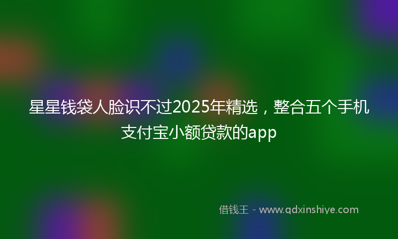 星星钱袋人脸识不过2025年精选，整合五个手机支付宝小额贷款的app