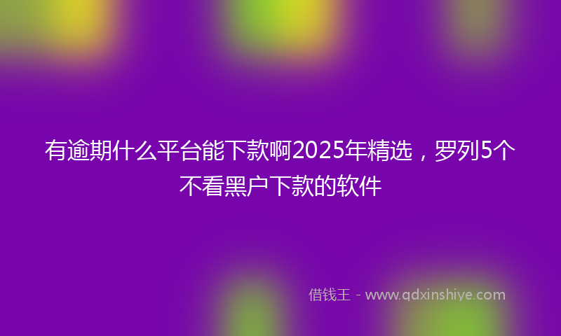 有逾期什么平台能下款啊2025年精选，罗列5个不看黑户下款的软件