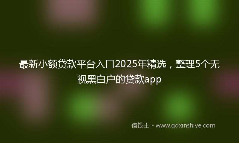 最新小额贷款平台入口2025年精选，整理5个无视黑白户的贷款app