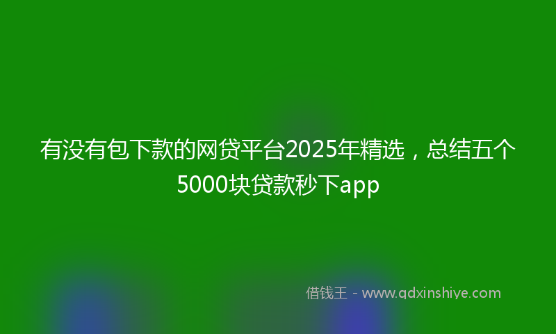 有没有包下款的网贷平台2025年精选，总结五个5000块贷款秒下app
