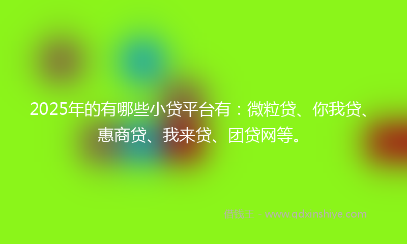2025年的有哪些小贷平台有：微粒贷、你我贷、惠商贷、我来贷、团贷网等。