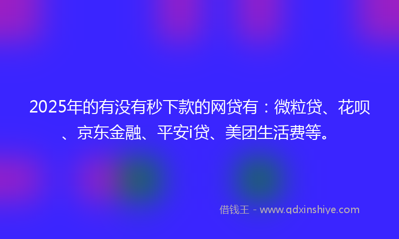 2025年的有没有秒下款的网贷有：微粒贷、花呗、京东金融、平安i贷、美团生活费等。
