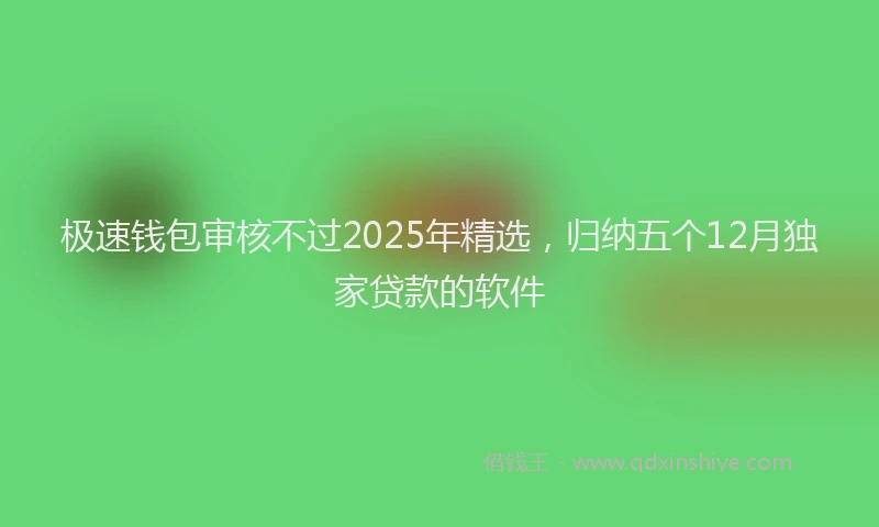 极速钱包审核不过2025年精选，归纳五个12月独家贷款的软件