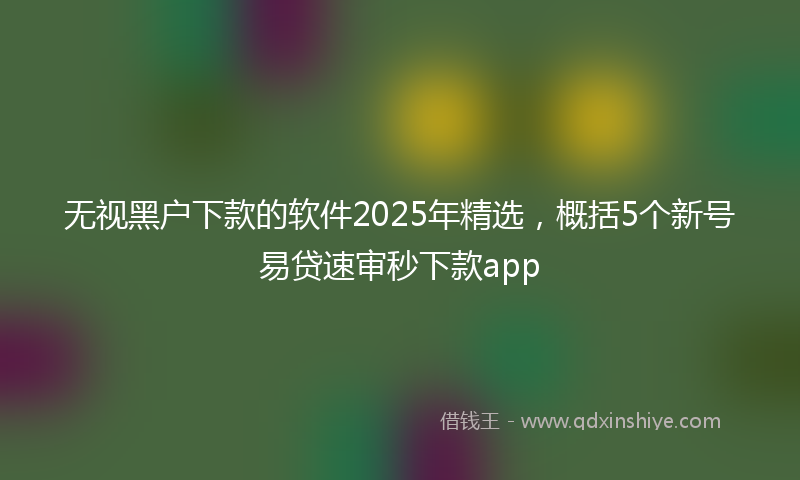 无视黑户下款的软件2025年精选，概括5个新号易贷速审秒下款app