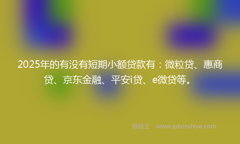 2025年的有没有短期小额贷款有：微粒贷、惠商贷、京东金融、平安i贷、e微贷等。