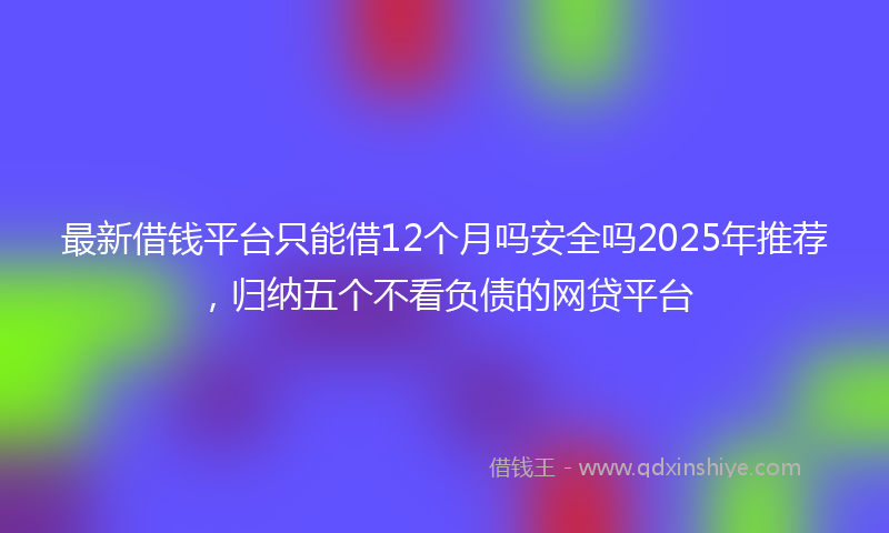 最新借钱平台只能借12个月吗安全吗2025年推荐，归纳五个不看负债的网贷平台