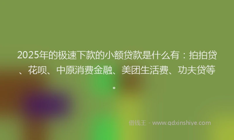 2025年的极速下款的小额贷款是什么有：拍拍贷、花呗、中原消费金融、美团生活费、功夫贷等。