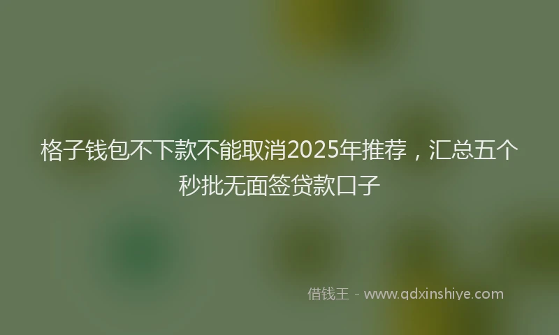 格子钱包不下款不能取消2025年推荐，汇总五个秒批无面签贷款口子