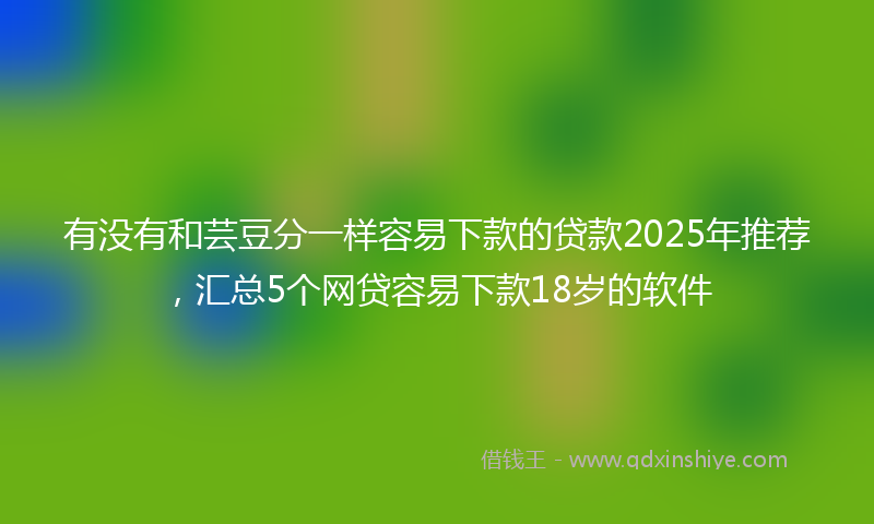 有没有和芸豆分一样容易下款的贷款2025年推荐，汇总5个网贷容易下款18岁的软件