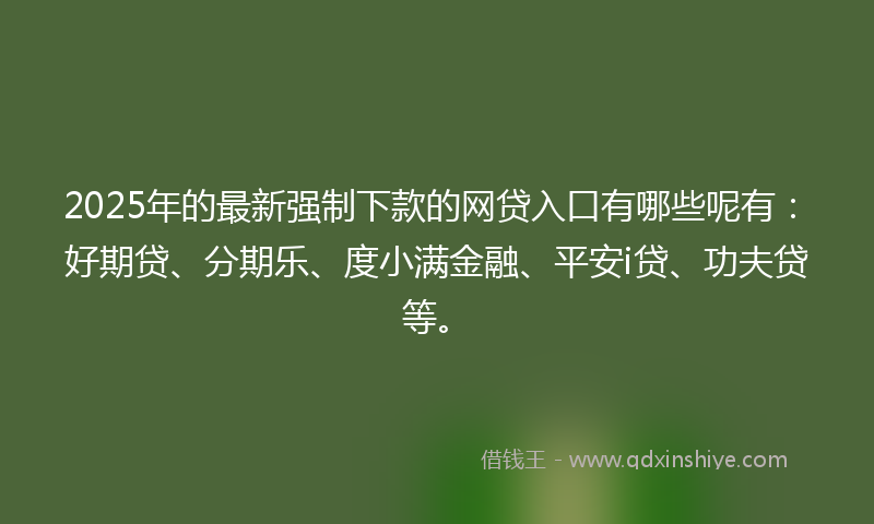2025年的最新强制下款的网贷入口有哪些呢有：好期贷、分期乐、度小满金融、平安i贷、功夫贷等。