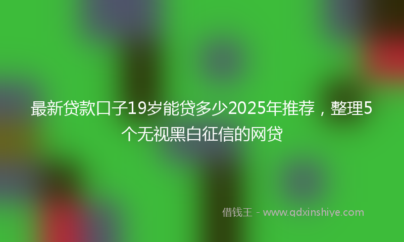 最新贷款口子19岁能贷多少2025年推荐，整理5个无视黑白征信的网贷