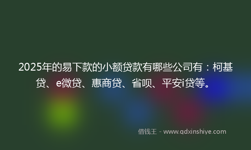 2025年的易下款的小额贷款有哪些公司有：柯基贷、e微贷、惠商贷、省呗、平安i贷等。