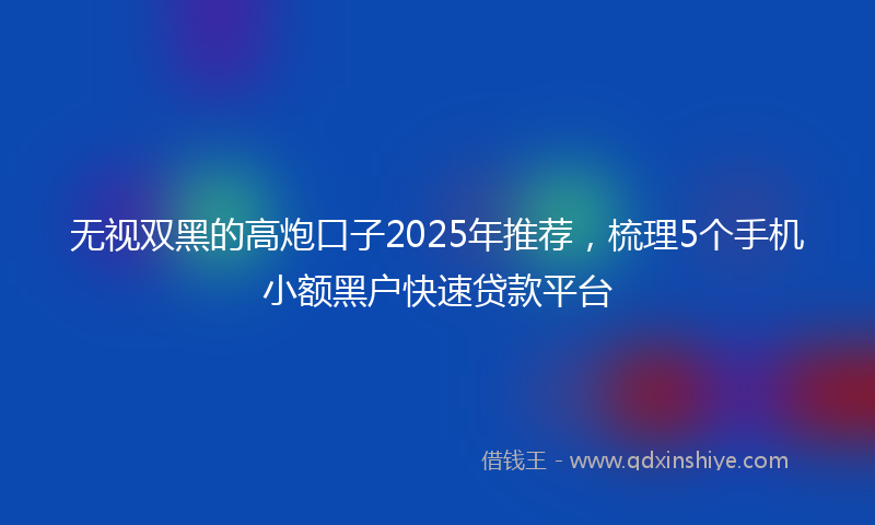无视双黑的高炮口子2025年推荐，梳理5个手机小额黑户快速贷款平台