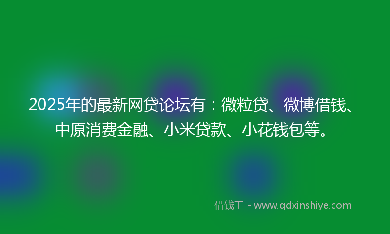 2025年的最新网贷论坛有：微粒贷、微博借钱、中原消费金融、小米贷款、小花钱包等。