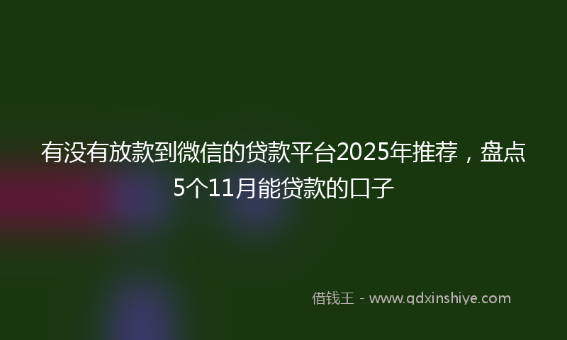 有没有放款到微信的贷款平台2025年推荐，盘点5个11月能贷款的口子