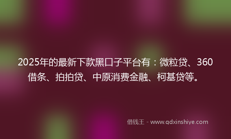 2025年的最新下款黑口子平台有：微粒贷、360借条、拍拍贷、中原消费金融、柯基贷等。