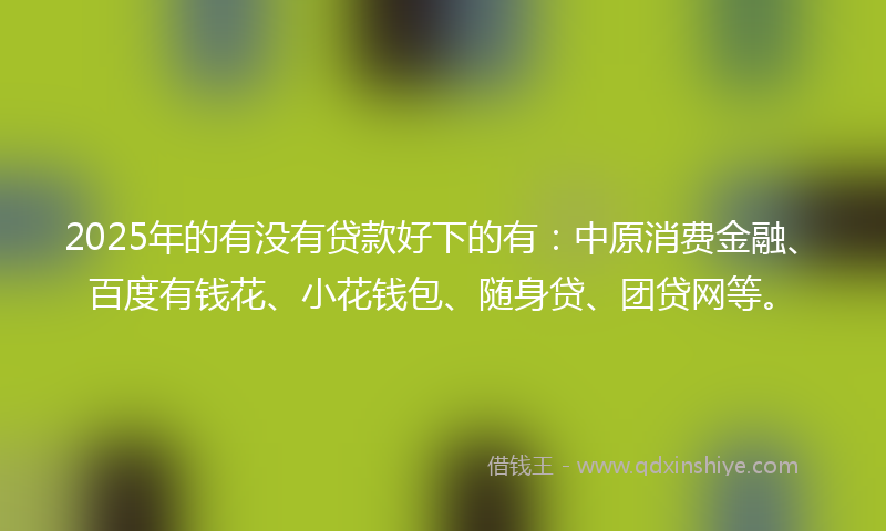 2025年的有没有贷款好下的有：中原消费金融、百度有钱花、小花钱包、随身贷、团贷网等。