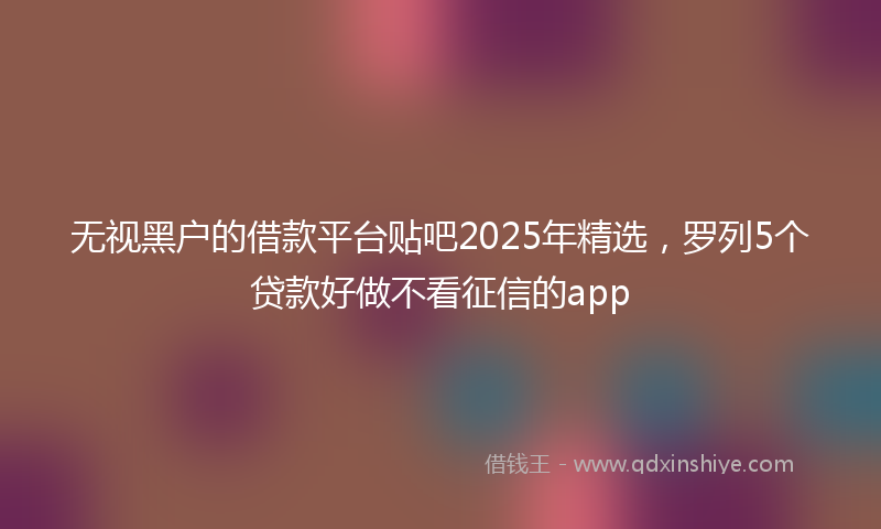 无视黑户的借款平台贴吧2025年精选，罗列5个贷款好做不看征信的app