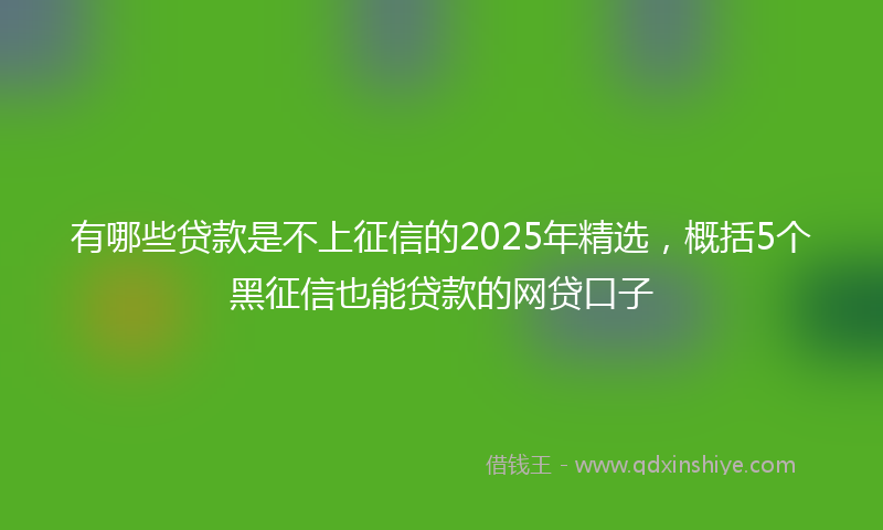 有哪些贷款是不上征信的2025年精选，概括5个黑征信也能贷款的网贷口子