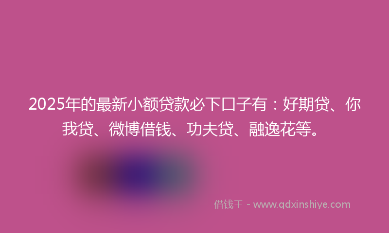 2025年的最新小额贷款必下口子有：好期贷、你我贷、微博借钱、功夫贷、融逸花等。
